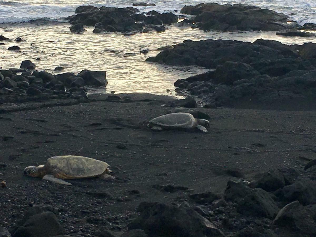 Mauna Kai'Iki Pahala Bagian luar foto